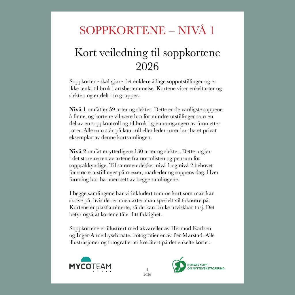Soppkortene nivå 1 - 2026 - Bilde 6