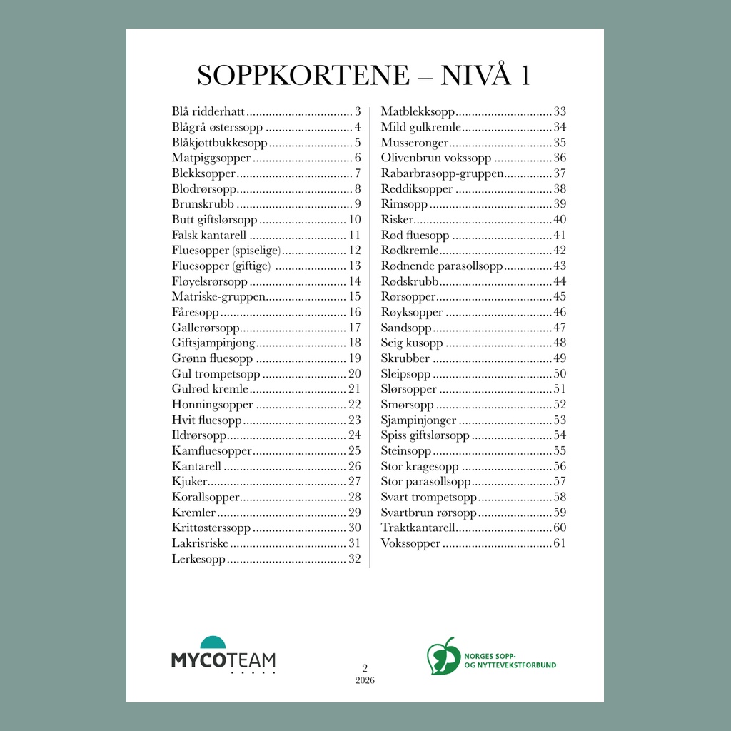 Soppkortene nivå 1 - 2026 - Bilde 5