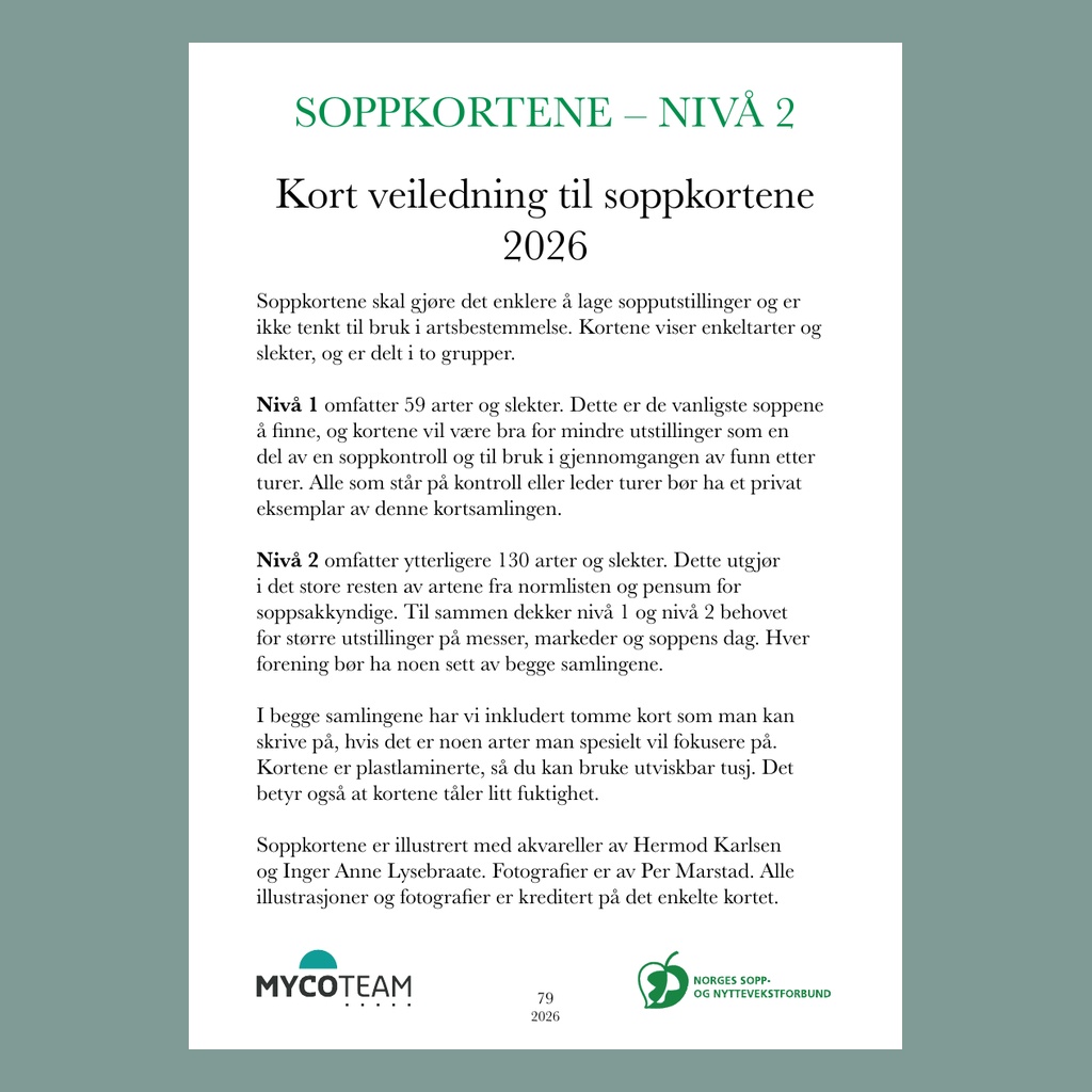 Soppkortene nivå 2 - 2026 - Bilde 2