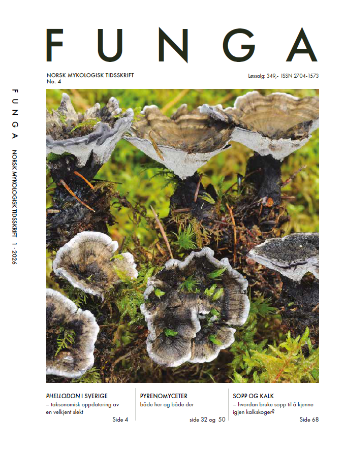 Funga #4